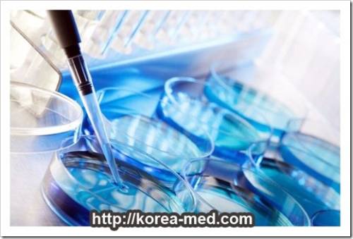 клиники Южной Кореи