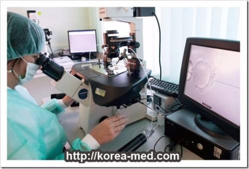 Лечение женских болезней и искусственное оплодотворение в Южной Корее
