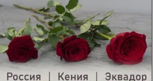 n1ghd5rd