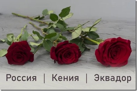 n1ghd5rd