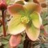 clip_image001